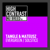 Evergreen / Solstice