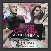 Can't Fight This Feeling (Remixes)