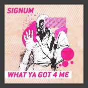 What Ya Got 4 Me (Lee Haslam Remix)