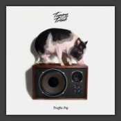 Truffle Pig