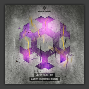 Answers (Adaro Remix) 