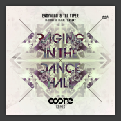 Raging In The Dancehall (Coone Remix) 