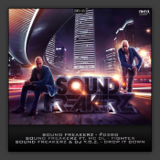 #D2BD / Fighter  (Feat. MC DL) / Drop It Down (Feat. DJ Y.O.Z.)