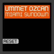 Miami Sundown