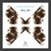 Seahorses & Earthquakes