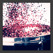 Your Drums, Your Love