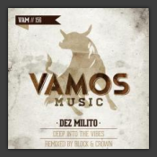 Deep Into The Vibes