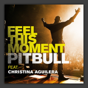 Feel This Moment