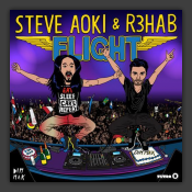 Flight 