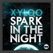 Spark In The Night