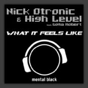 What It Feels Like (High Level Remix)