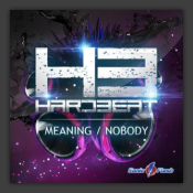 Meaning / Nobody