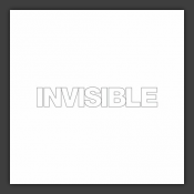 Invisible 12