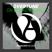 On Broken Wings