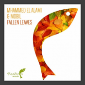 Fallen Leaves