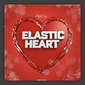 Elastic Heart