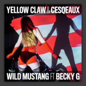 Wild Mustang
