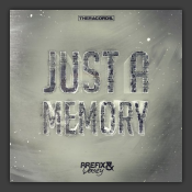 Just A Memory