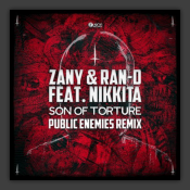 Son Of Torture (Public Enemies Remix)