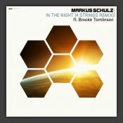 In the Night (4 Strings Remix)