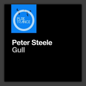 Gull
