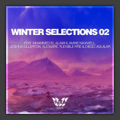 Winter Selections 02