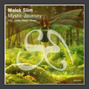 Mystic Journey