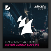 Never Gonna Love Me