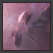 Saturator