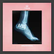 SNPR (2018 Refixx)