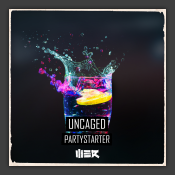 Partystarter