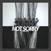 Sorry Not Sorry