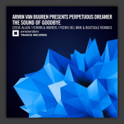 The Sound Of Goodbye