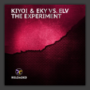 The Experiment
