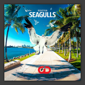 Seagulls