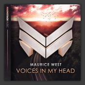 Voices In My Head