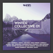 Winter Collective 01