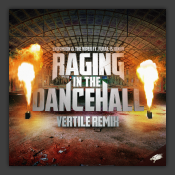 Raging In The Dancehall (Vertile Remix)