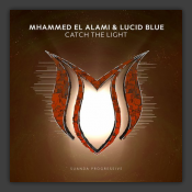 Catch The Light