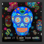 I Got Your Money
