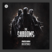 The Shadows