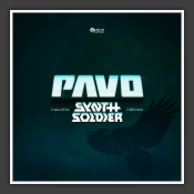 Raven (Synthsoldier Remix)