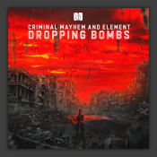 DROPPING BOMBS