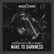 Wake To Darkness